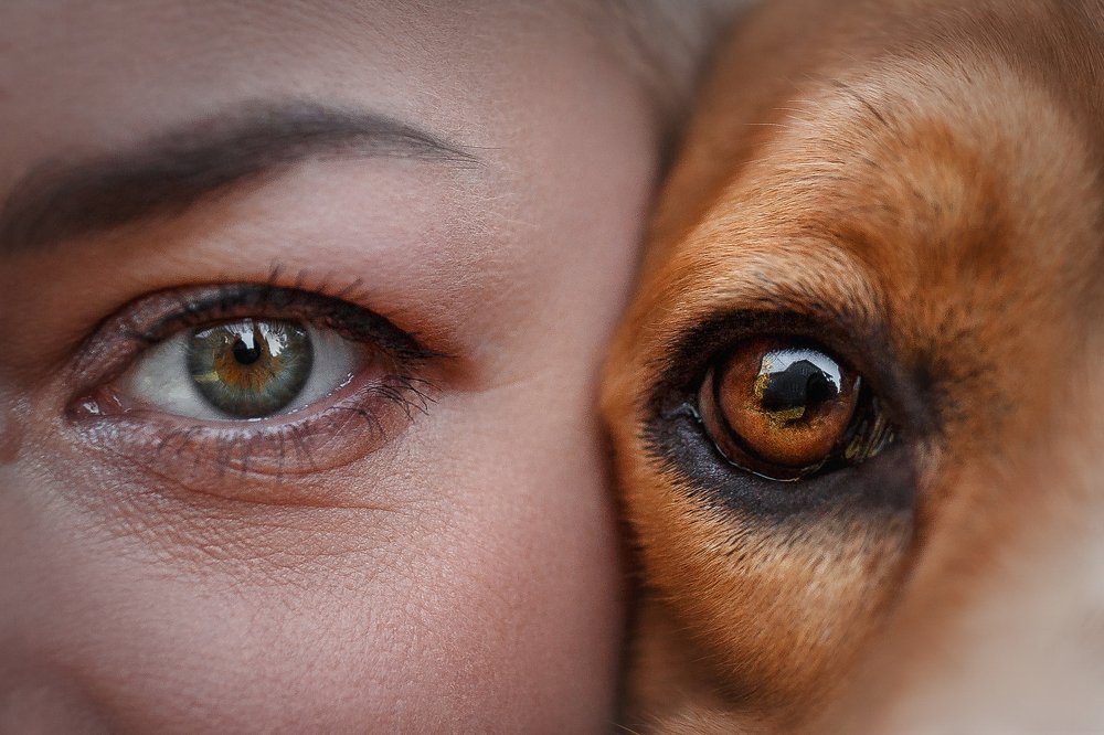 Photograph by Мария Мадзик