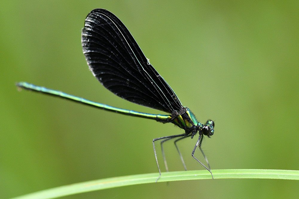 Photograph by eric keller