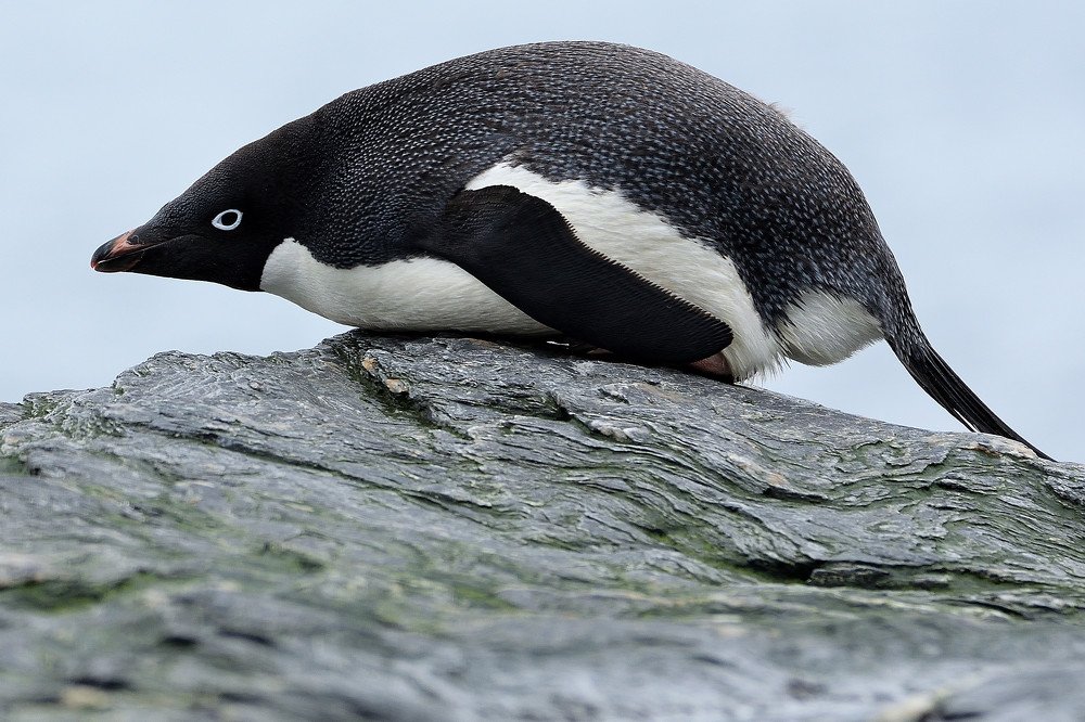 Photograph by eric keller