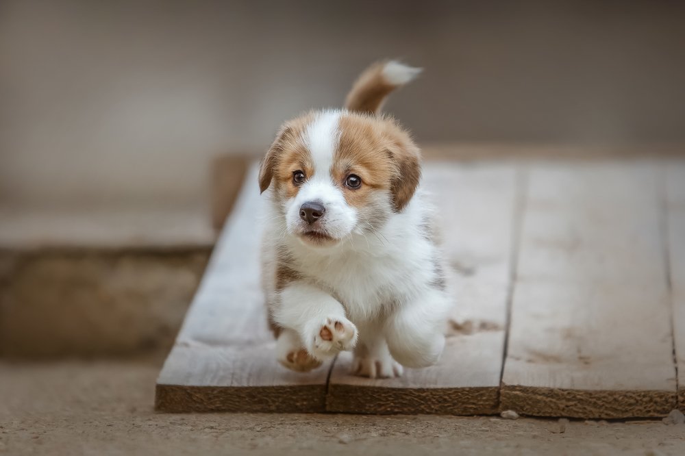 Photograph by Мария Мадзик