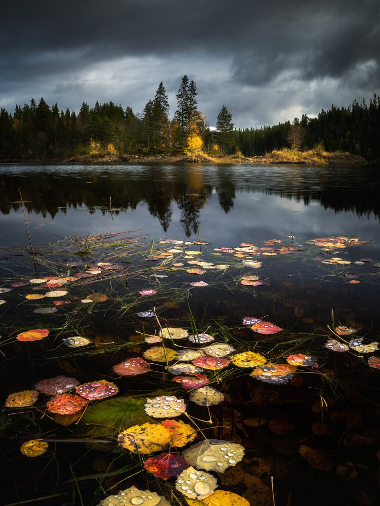 Photograph by Adrian Szatewicz