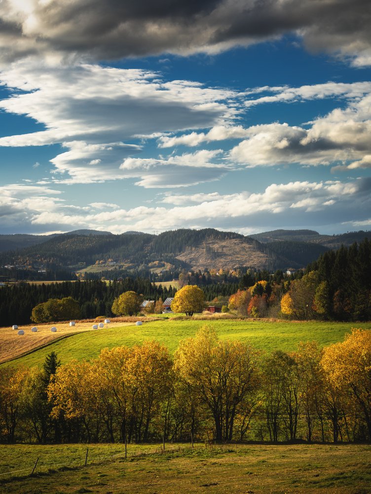 Photograph by Adrian Szatewicz