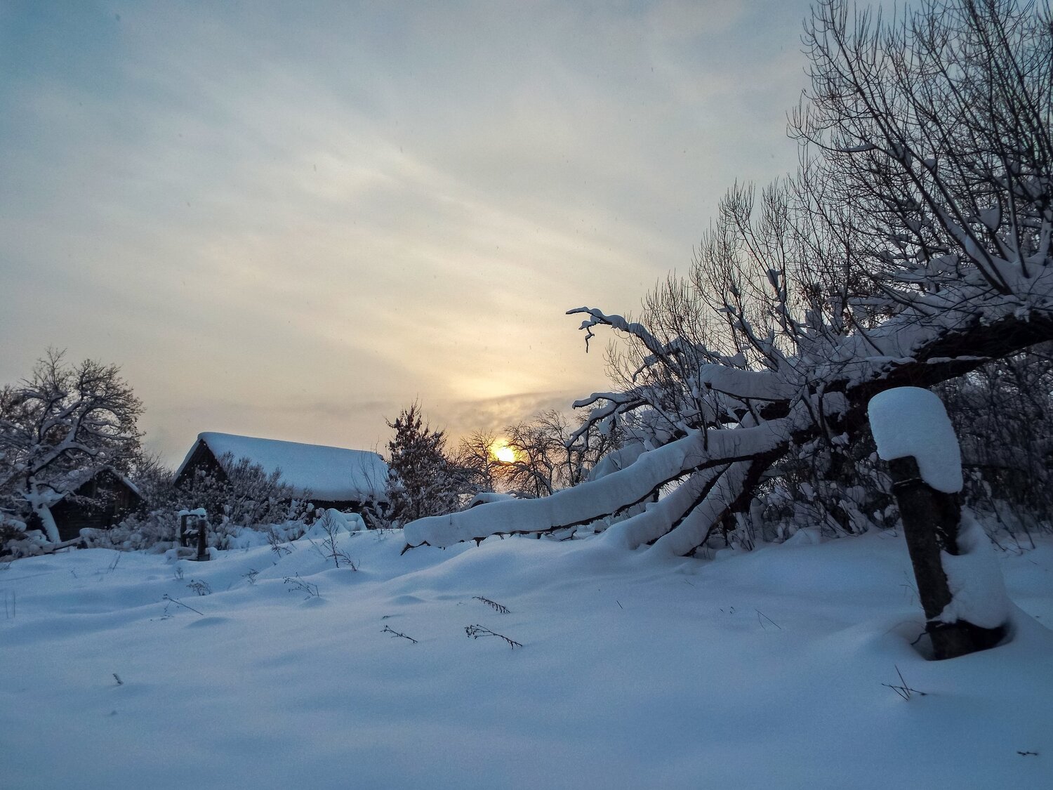 Photo #5331812