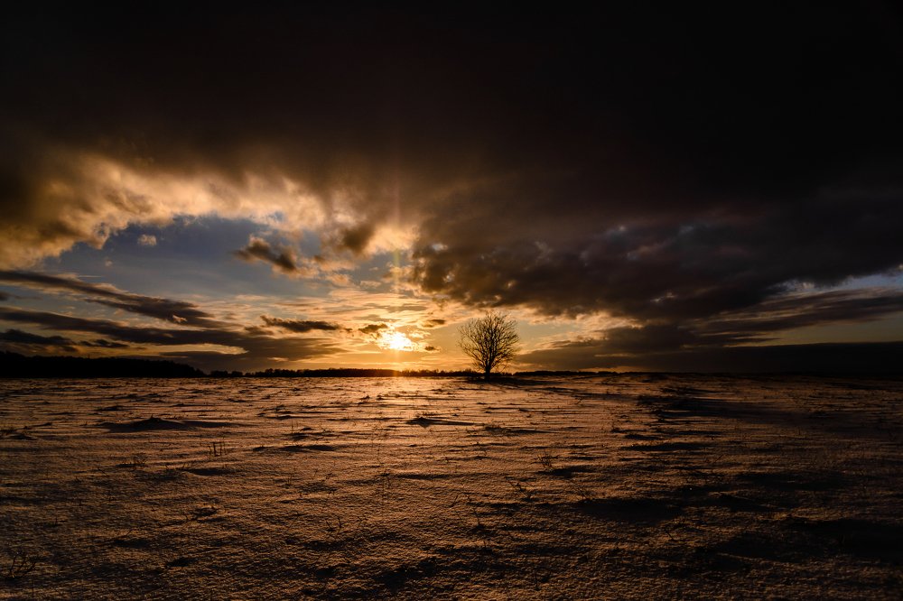 Photograph by Василий Ворона