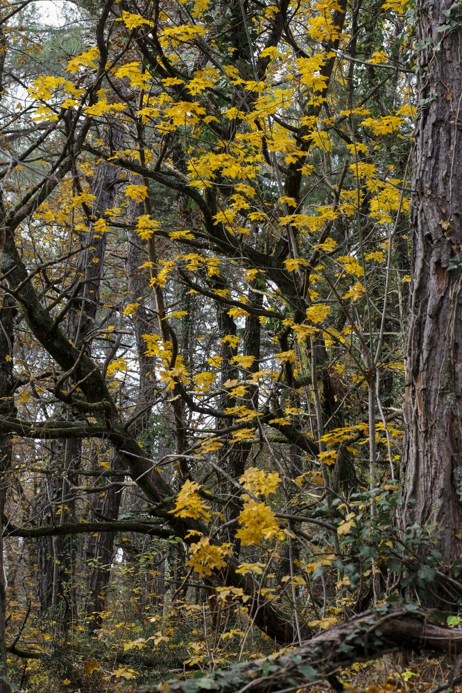 Photograph by Светлана Збраилова