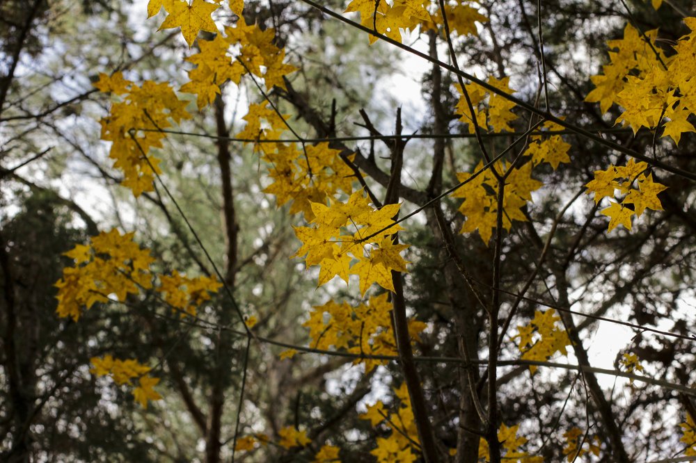 Photograph by Светлана Збраилова