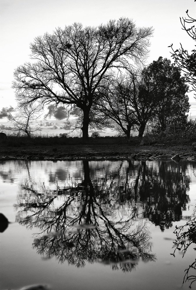 Photograph by Luigi Greco