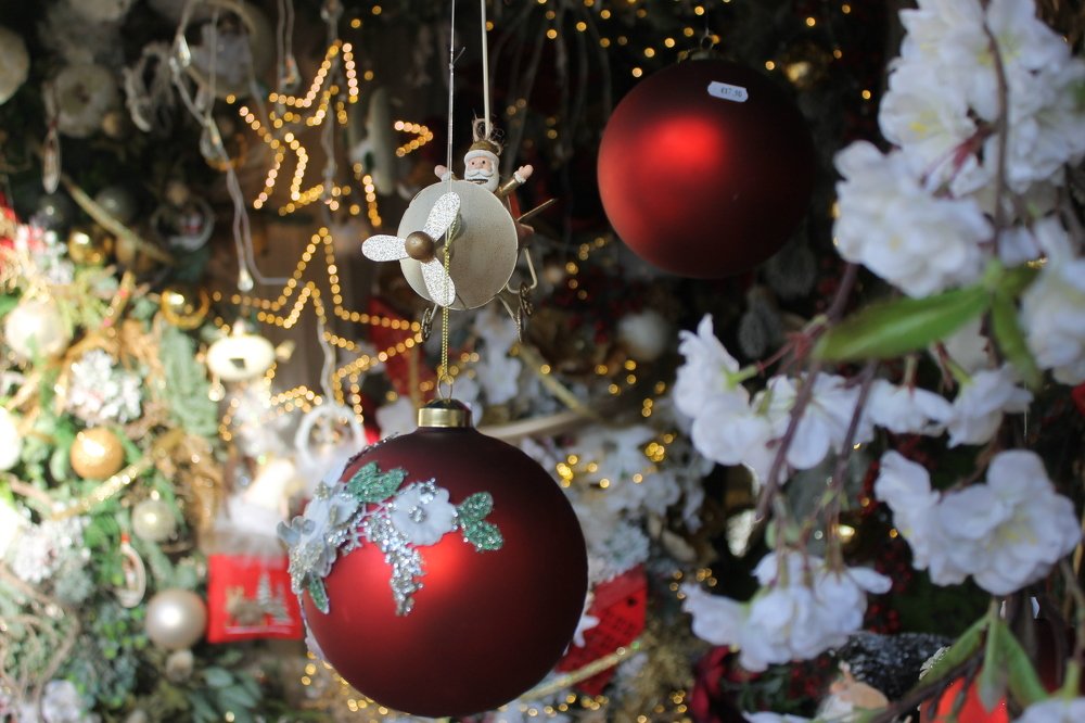 Photograph by Francisco Ferreira