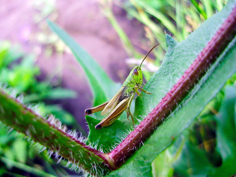 Photograph by Anna Krasova