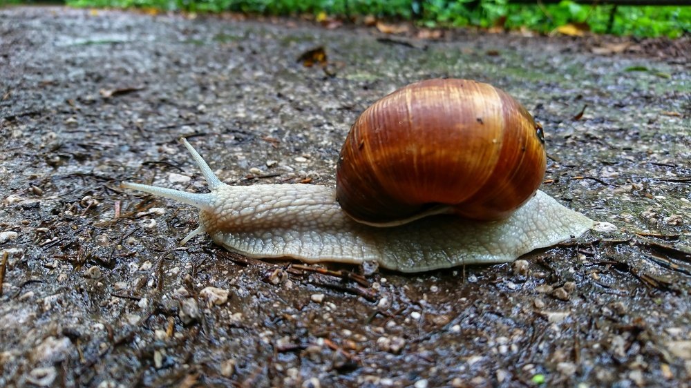 Photograph by Xenia Newman