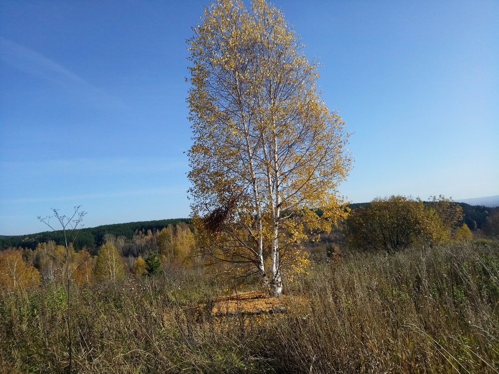 Photograph by Илья Поляков