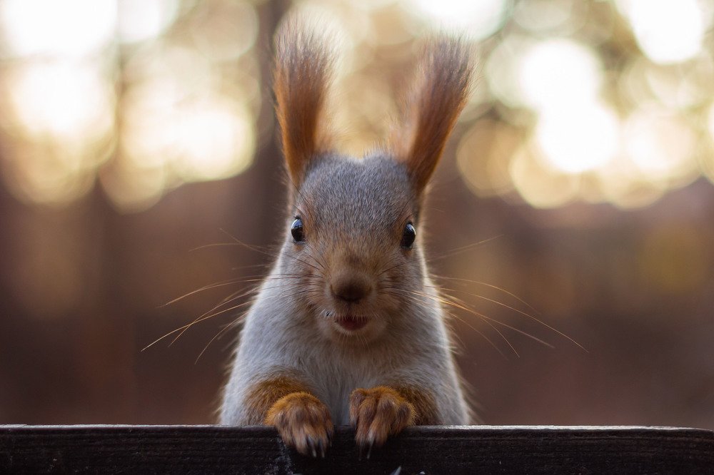 Photograph by Иван Михайлов