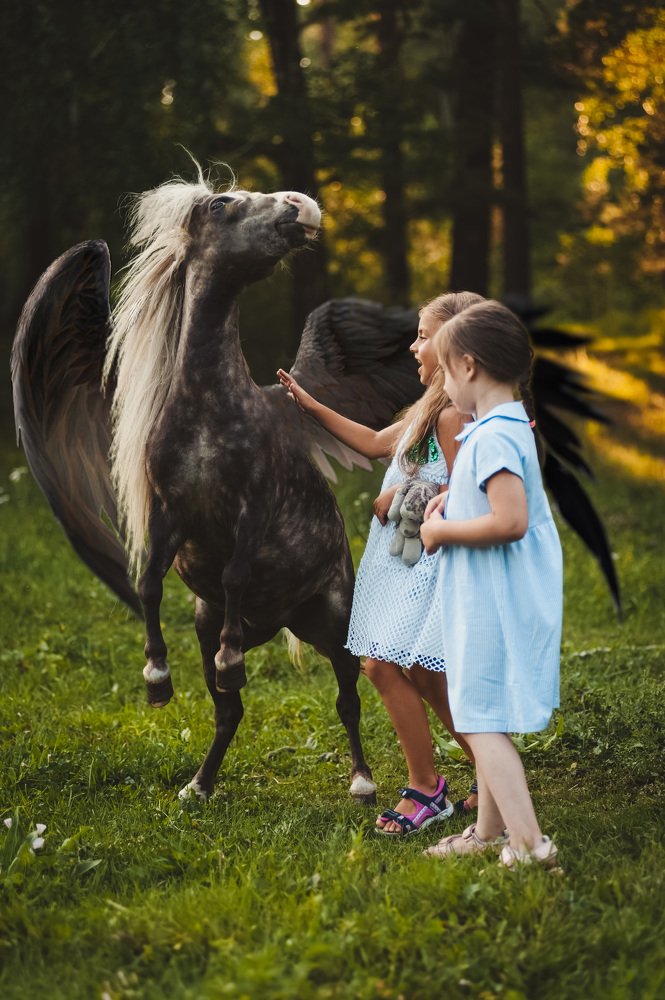 Конёк-горбунок