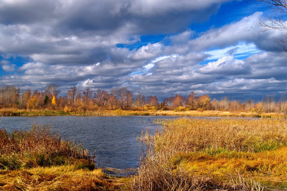 Цвета осени.