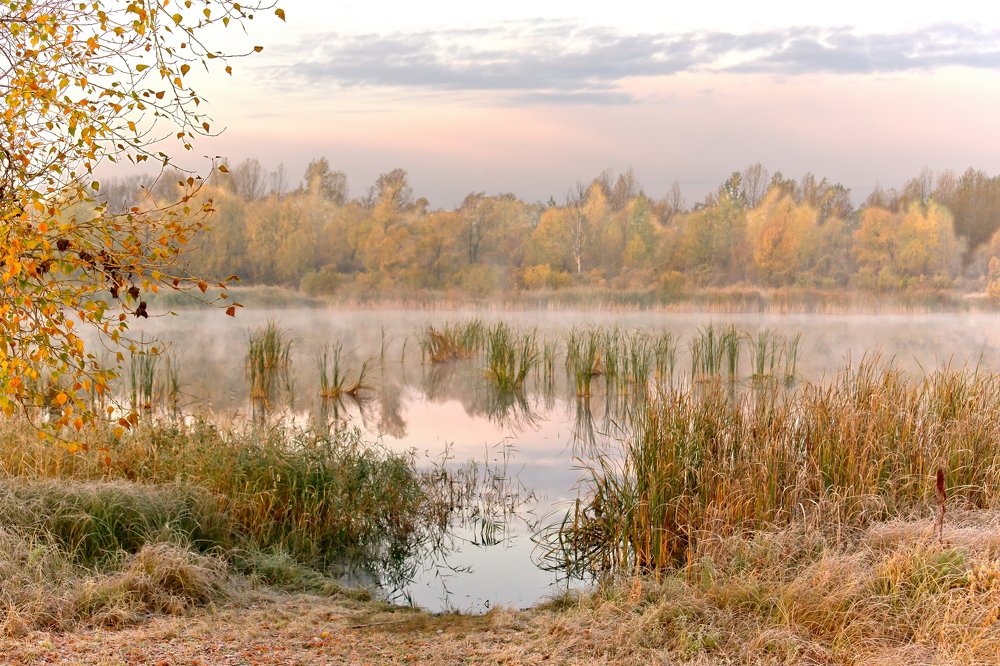 Photograph by Анатолий Стафичук