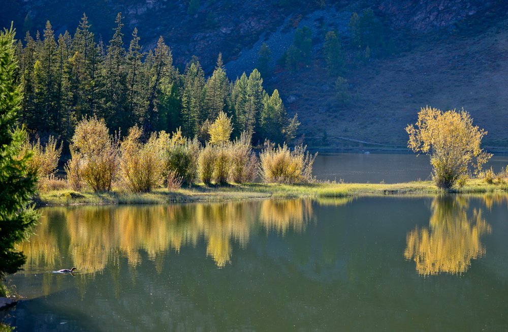 Блики осени.