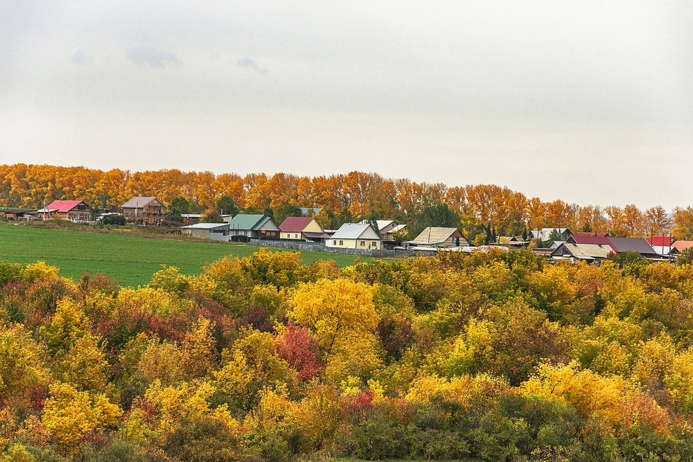 Цвета осени