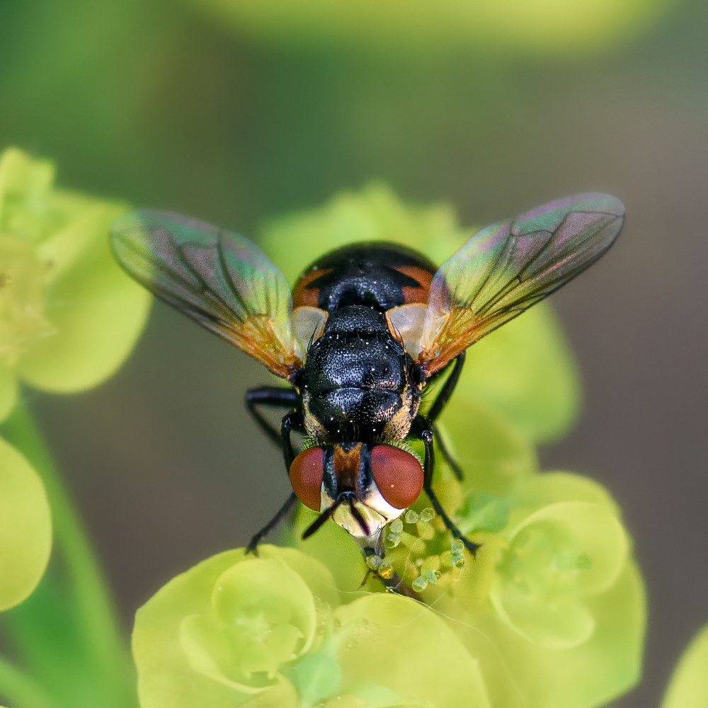 Фотография автора Владимир Зубков