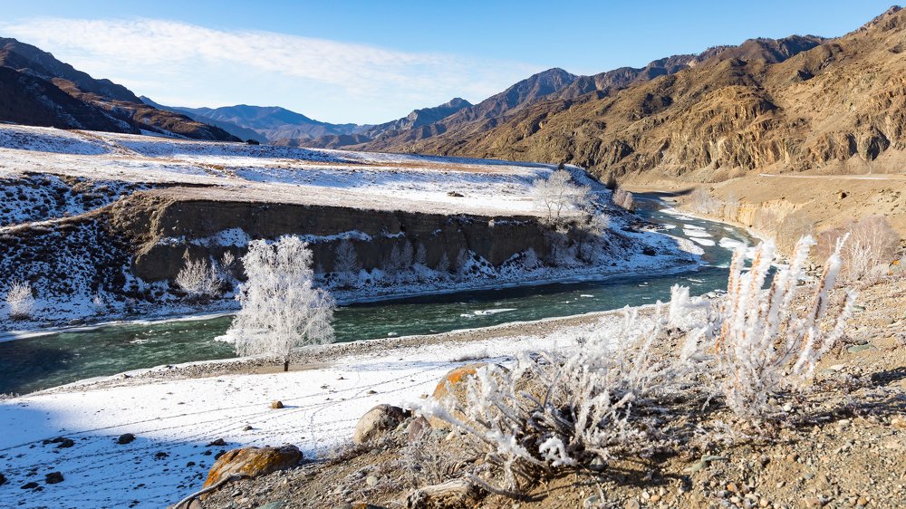 Морозная Чуя