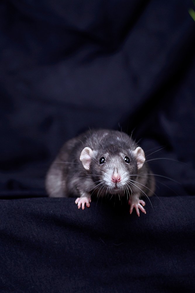 Photograph by Екатерина Семенова