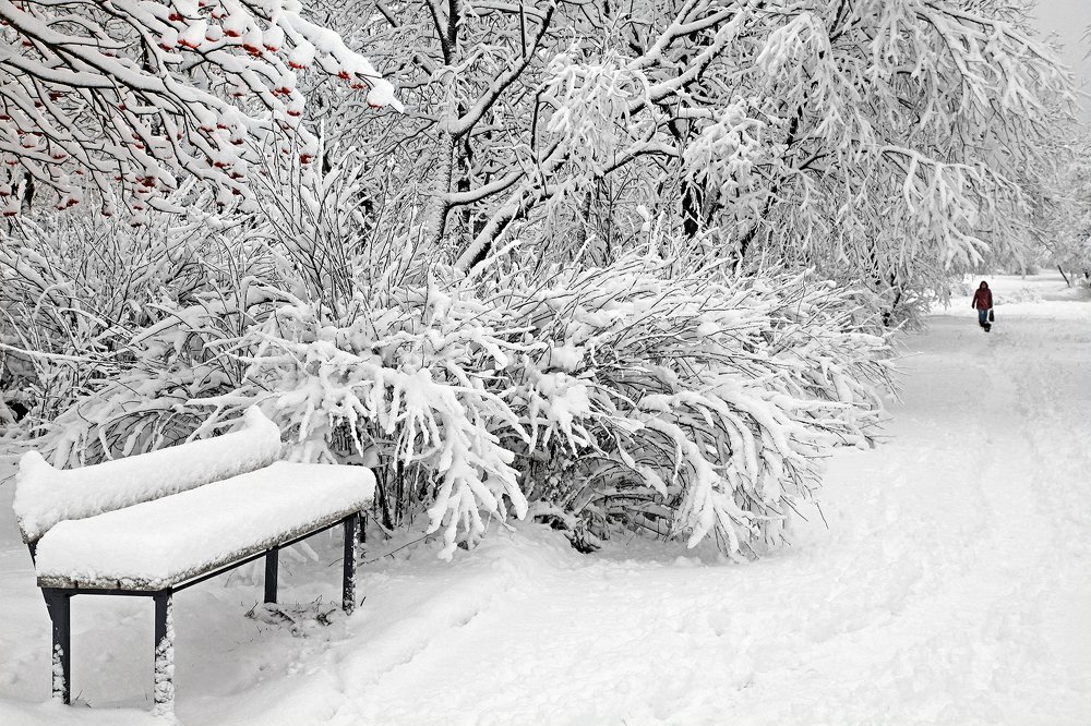 После ночного снегопада