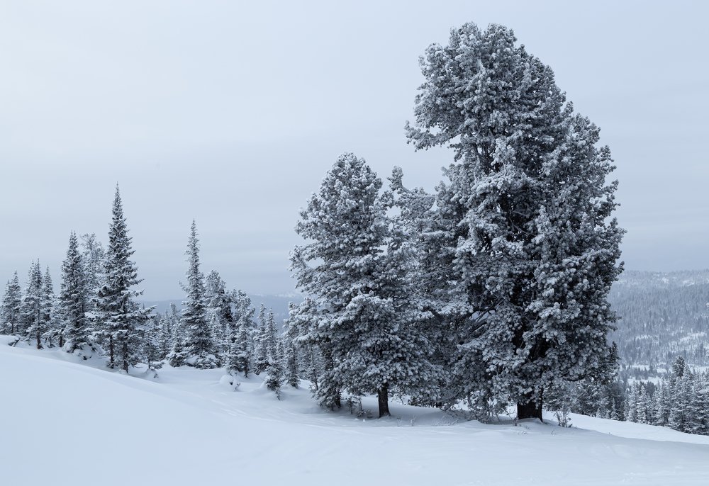 Photograph by Марина Новожилова