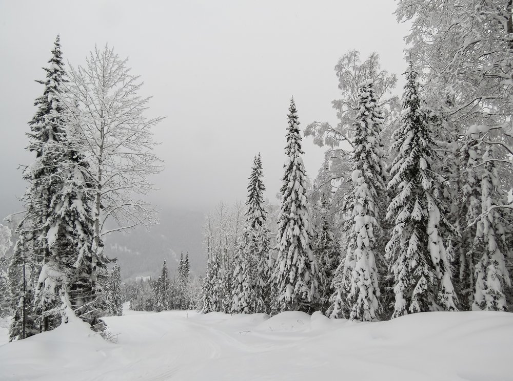 Photograph by Марина Новожилова