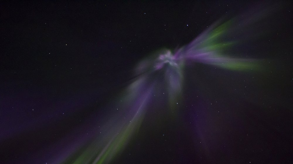 Photograph by Максим Апонасенко