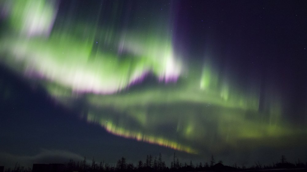 Photograph by Максим Апонасенко