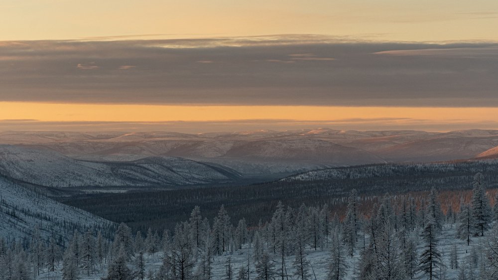 Photograph by Максим Апонасенко
