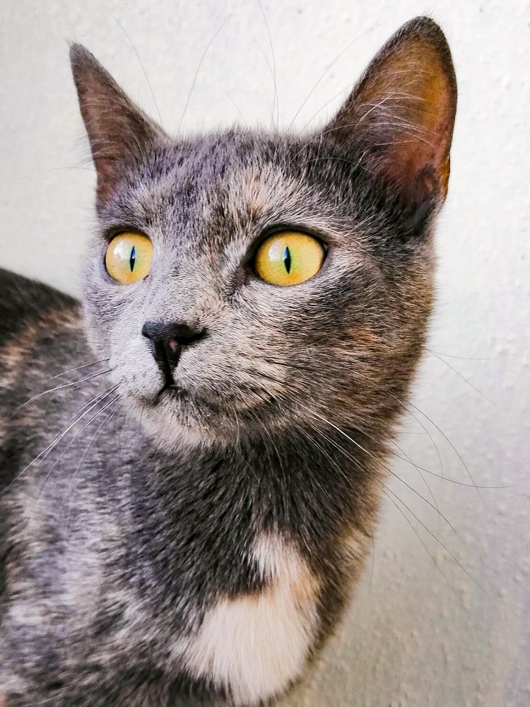 Photograph by Илья Гореньков