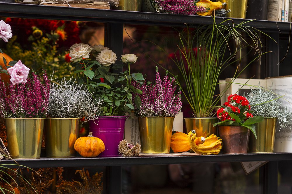 Photograph by Ольга Дорошенко