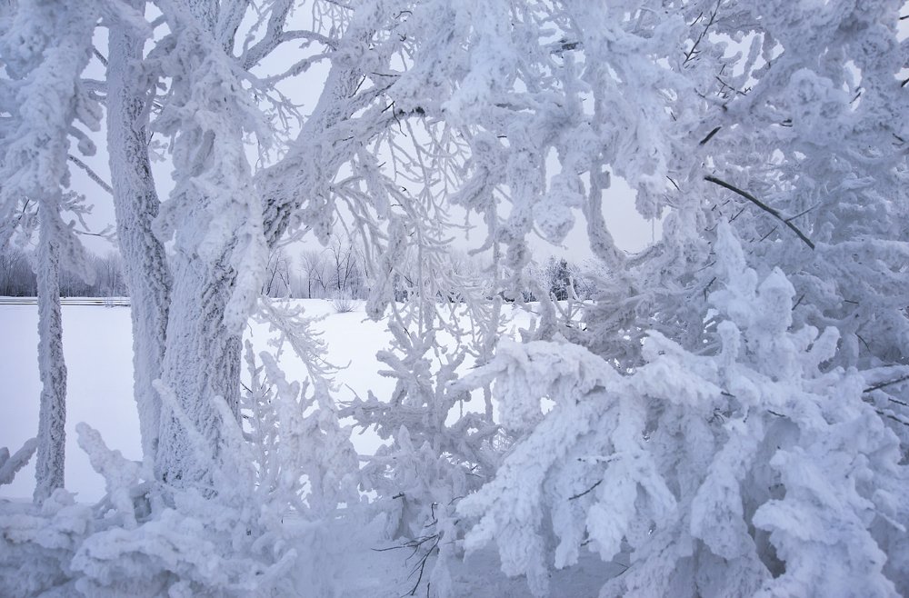 Морозные узоры.