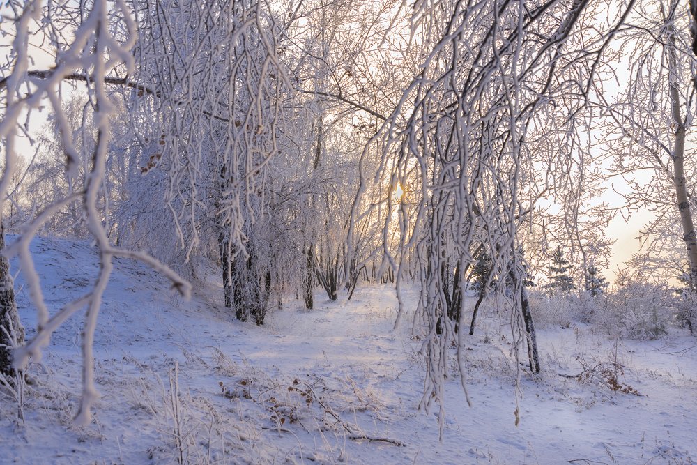Зимний закат.