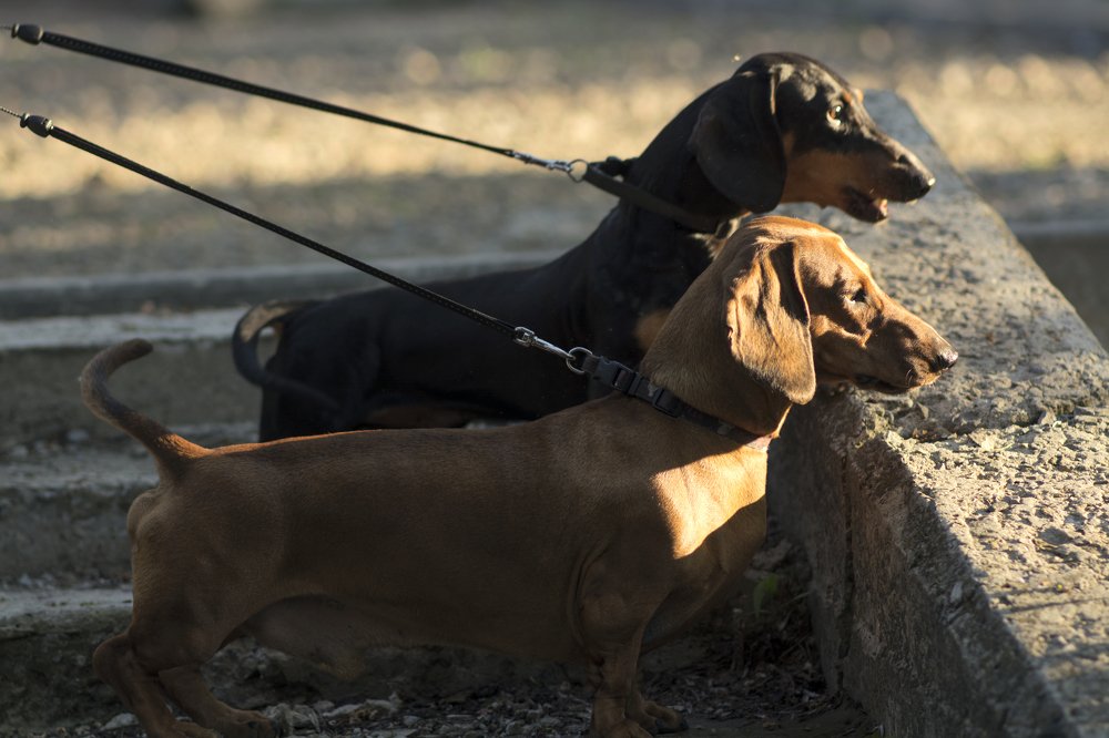 Photograph by Киреева Оксана