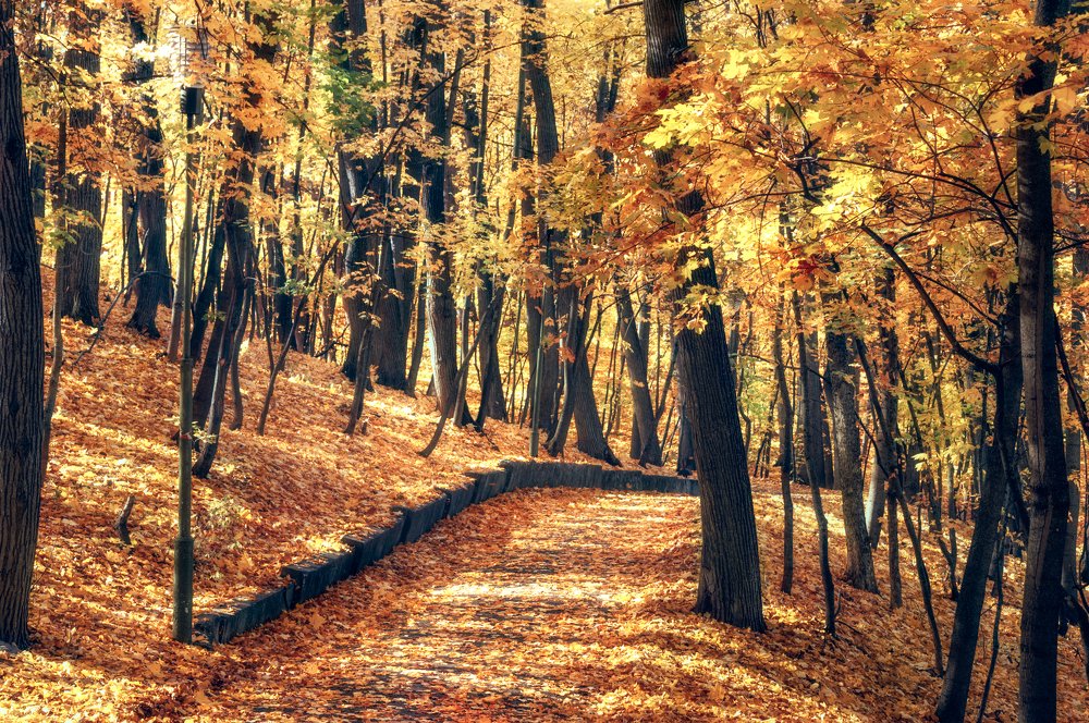 Photograph by Анастасия Суравикина