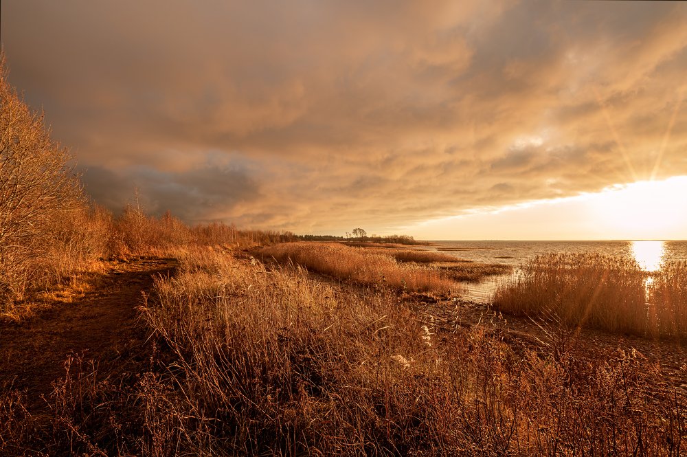 Photograph by Nau-Nau