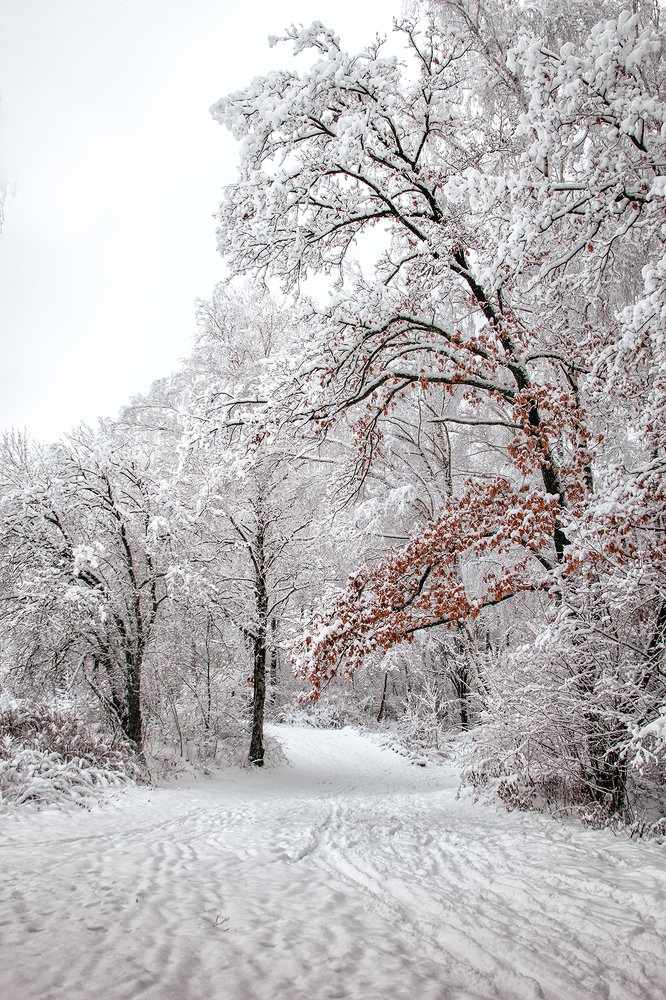 Photograph by Алена