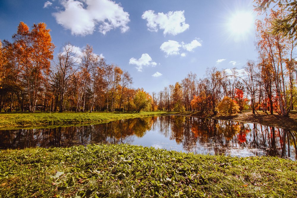 Осеннее солнце