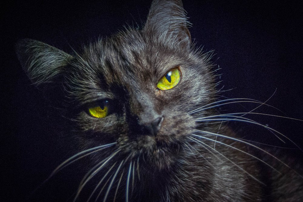 Фотография автора Татьяна Грунтович