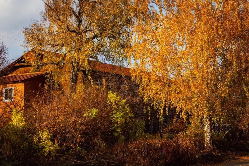 Photograph by Виктор Пазылов