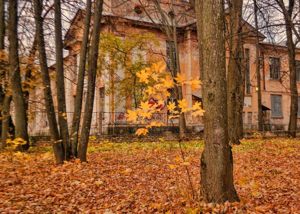 Осень. Старое здание.
