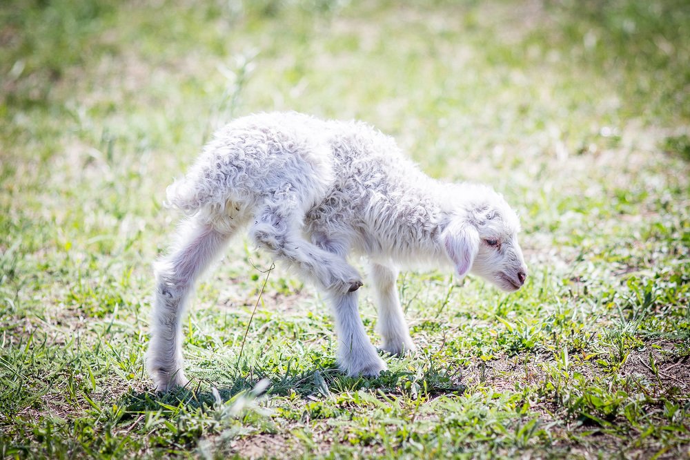 Photograph by Алексей Черников