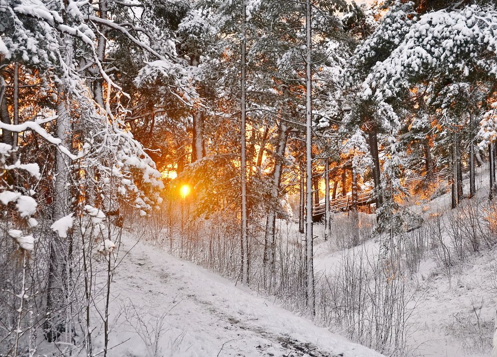 Photograph by Лидия Ушакова