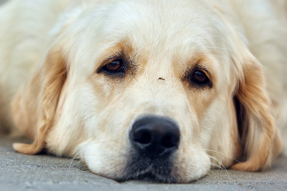 Photograph by Наталья Мячикова