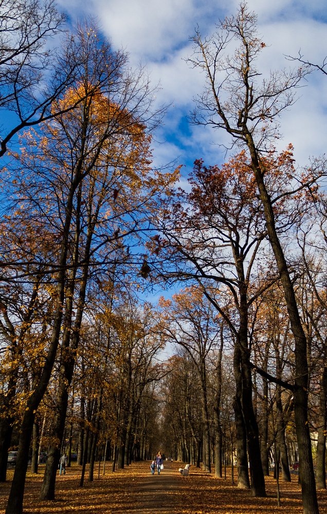 Photograph by Людмила Бетехтина