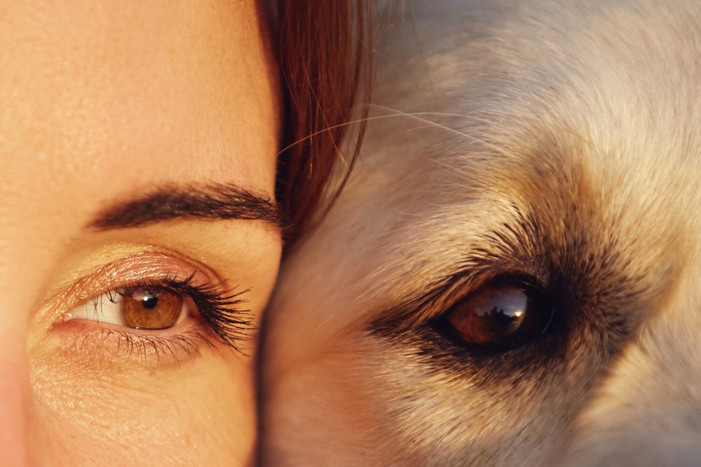 Photograph by Наталья Мячикова