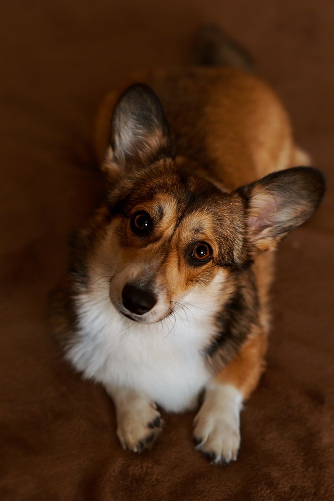 Photograph by Светлана