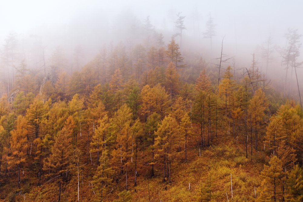 Photograph by Ирина Щеглова