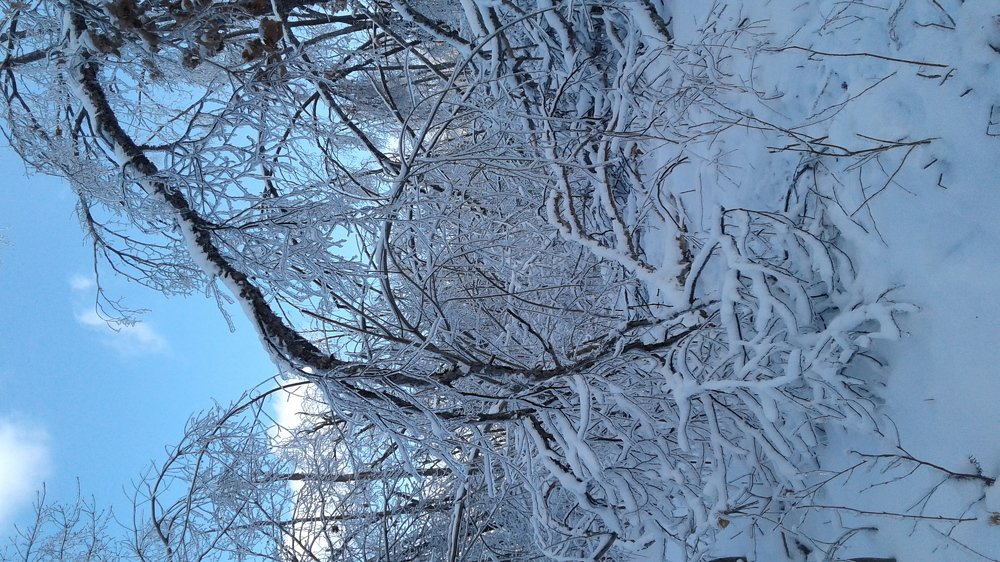 Photograph by Юлия Лихачева